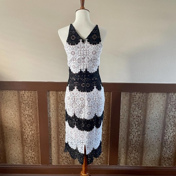 NWT: Dress the Population White and Black Lace Dress - Picture 7 of 12